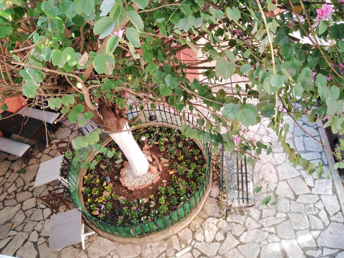 Lilliput Studio Corfu Old Town Eksteriør bilde