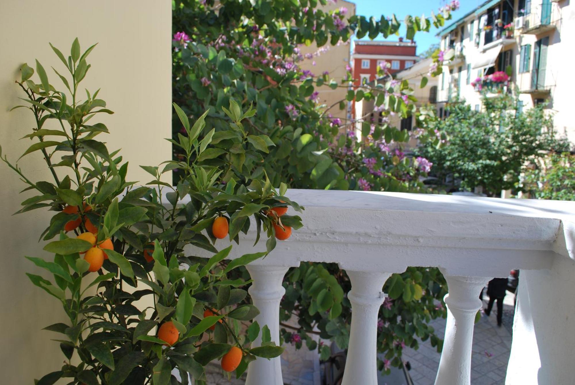 Lilliput Studio Corfu Old Town Eksteriør bilde